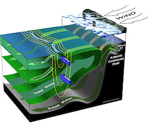 Diagram illustrating the direction in which the currents flow.