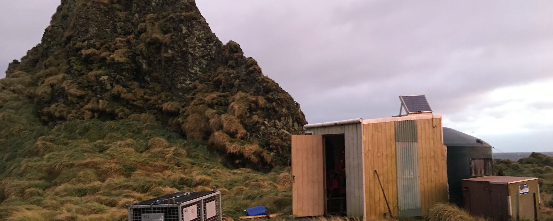 A wooden field hut in amongst the green tussock grass