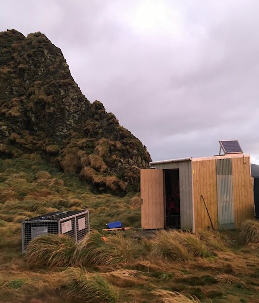 A wooden field hut in amongst the green tussock grass