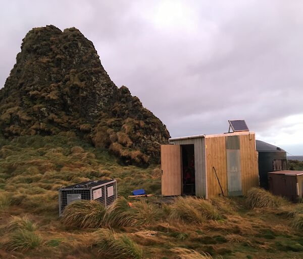 A wooden field hut in amongst the green tussock grass