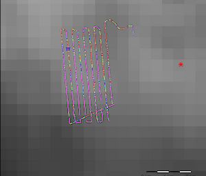 A series of coloured lines in a grid pattern