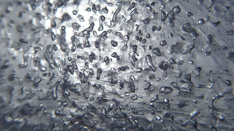 small air bubbles in ice