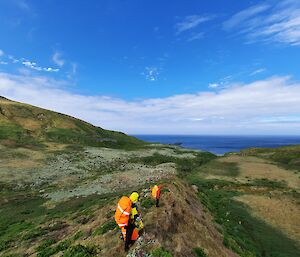 Two expeditioners walk down a track with views over the grass to the ocean