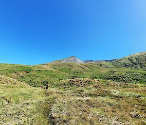 An expeditioner walks up a grassy hill beneath the blue sky