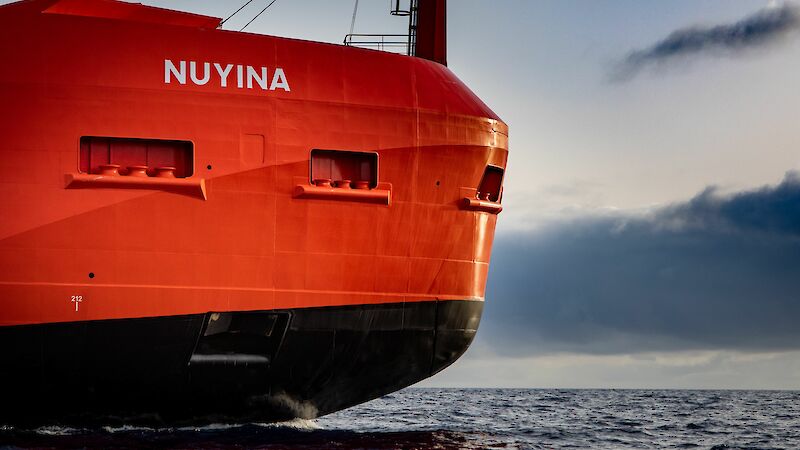 A view of RSV Nuyina's red and black bow taken from the port (right) side close to the ocean.