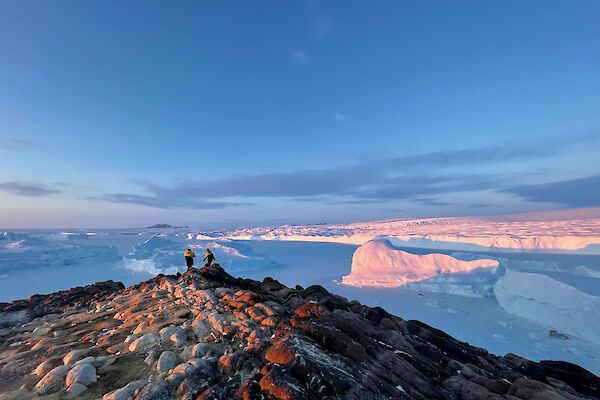 Two expeditioners stand overlooking a penguin rookery