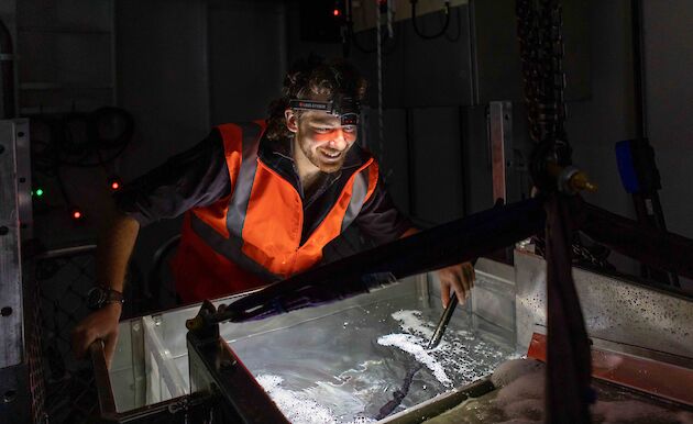 man with head torch examines tank of seawater