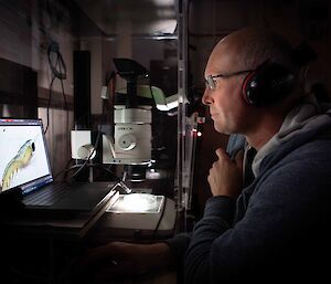 scientist in dark room with microscope and image of krill on screen