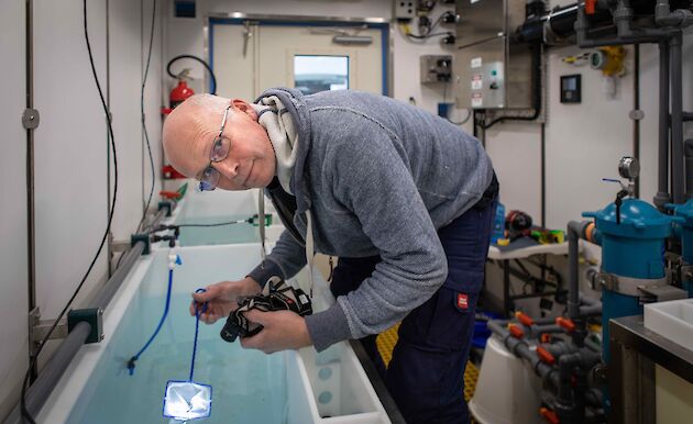 man with small net in aquarium room