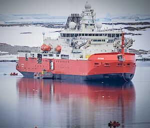 The ship RSV Nuyina at rest in the bay. A barge and a few small inflatable boats are sailing around her arranging floating hoses for fuel transfer