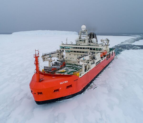 ship pushes through ice-covered sea