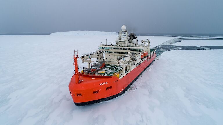 ship pushes through ice-covered sea