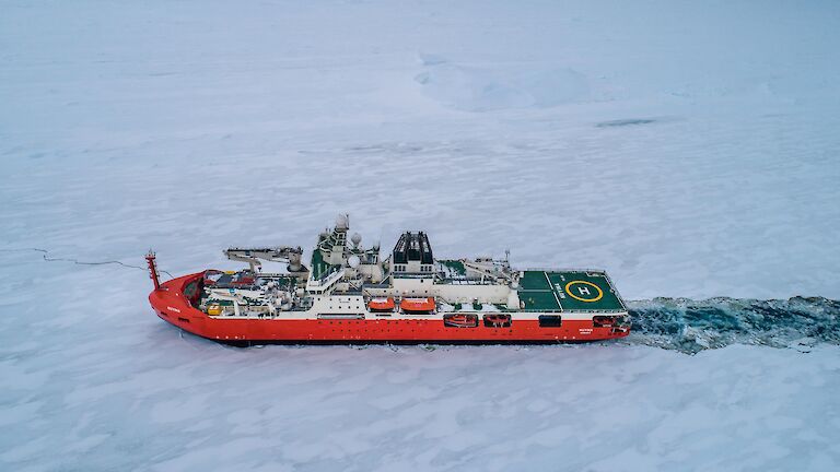 ship pushes through ice-covered sea