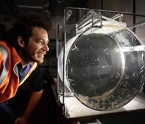 man looks at krill in clear chamber