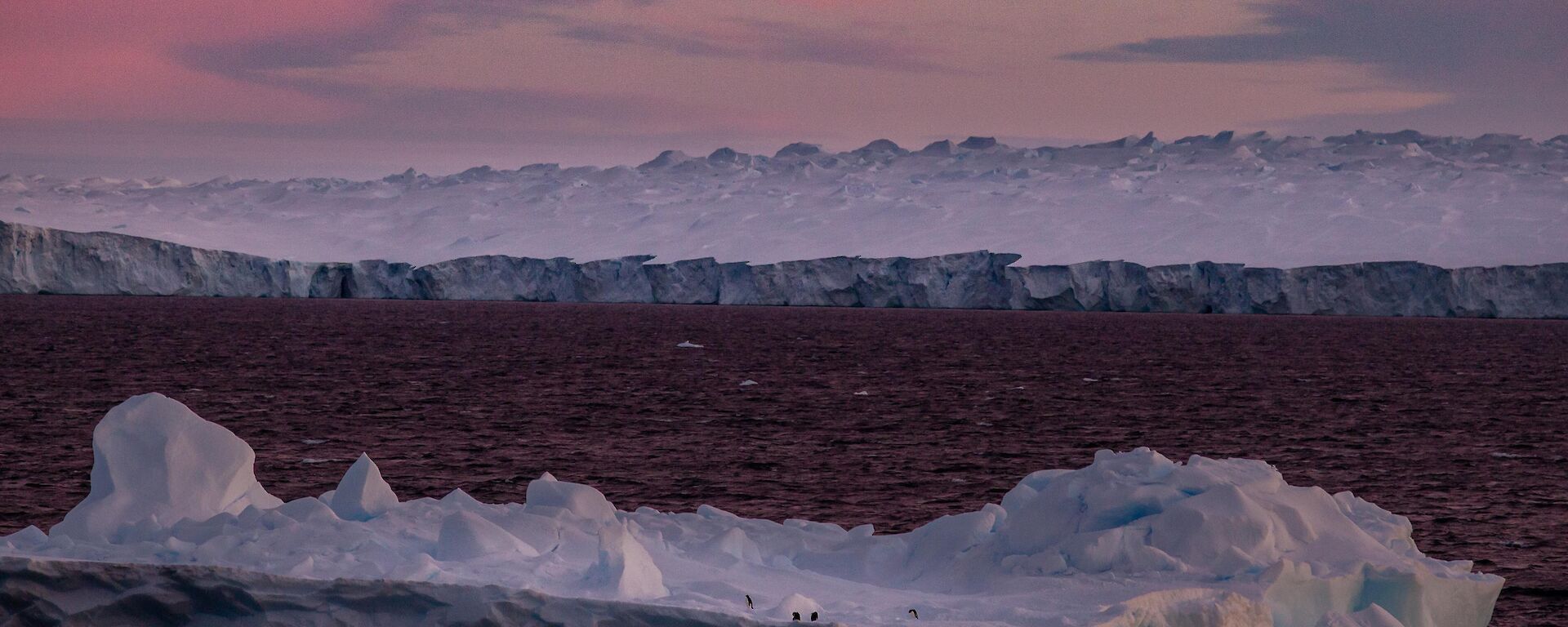 ice cliff of glacier from sea