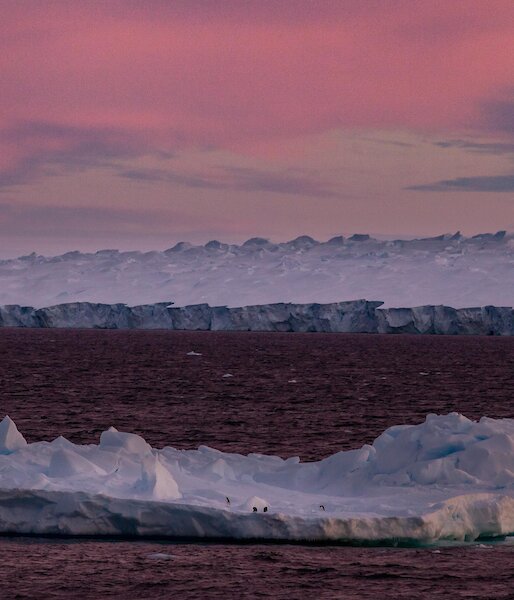ice cliff of glacier from sea