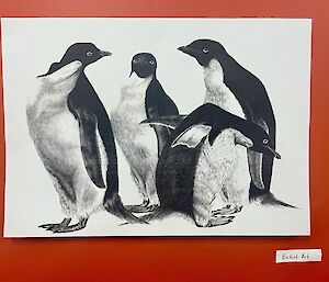 A photorealistic graphite drawing of four Adélie penguins