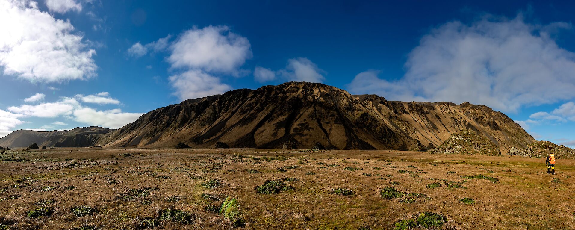 A mountain viewed from the grassy brown plain