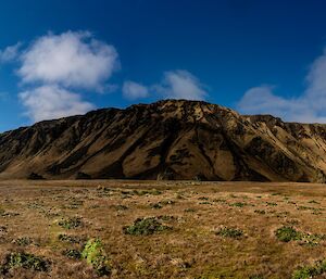 A mountain viewed from the grassy brown plain