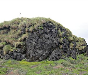 A rocky outcrop protrudes from the tussocks