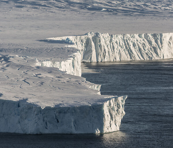 Ice cliffs next to the ocean