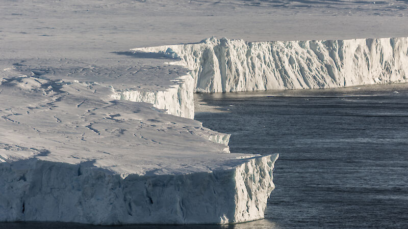 Ice cliffs next to the ocean