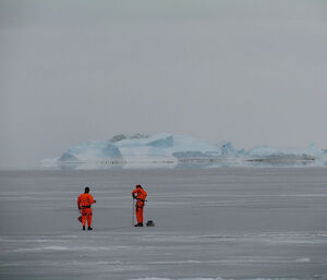 Two people standing on sea ice