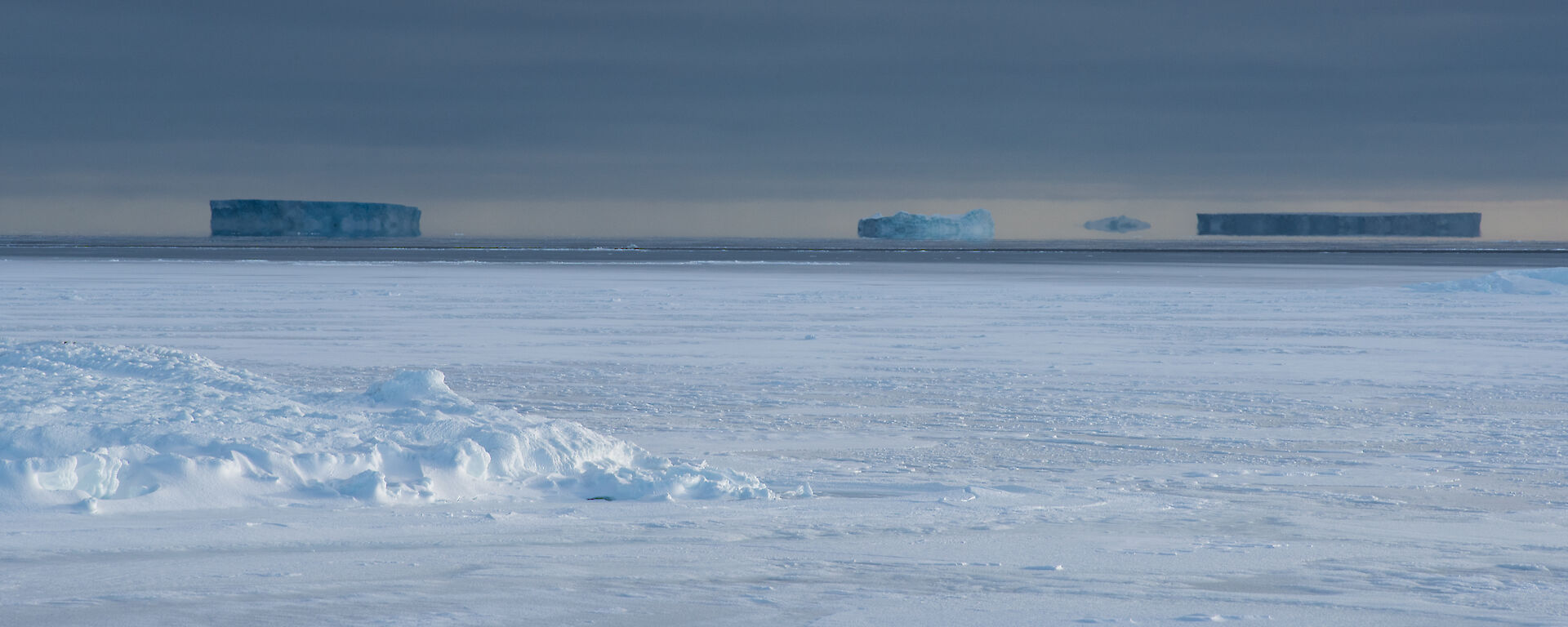 Sea ice and ice bergs off in the distance