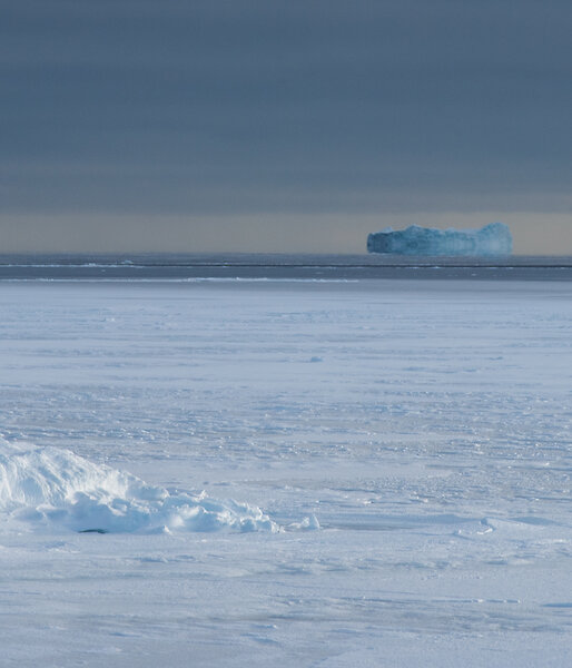 Sea ice and ice bergs off in the distance