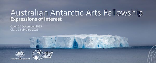 Expressions of interest for the Australian Antarctic Arts Fellowship are open now