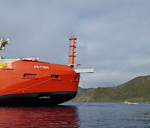 The massive RSV Nuyina anchored with Macquarie Island close behind it