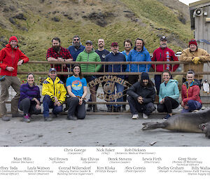 A group of expeditioners leaning on a gate with several seals in front of them