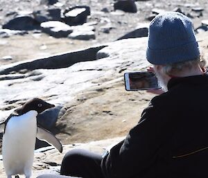 Man taking a photo of a penguin approaching him