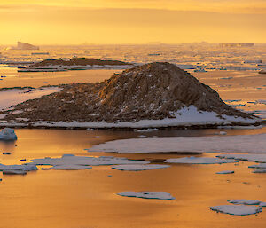 A few small islands in a calm ocean, with low, rocky peaks and snow-covered shores, surrounded by floating ice sheets. Small groups of penguins are gathered together on the edges of some ice sheets. Tabular icebergs can be seen in the distance. A golden-bronze sunset light fills the sky and is reflected in the water