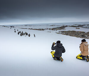 Two people in beanies and thick winter jackets are kneeling on a snow-covered slope on a murky, cloudy day. Several metres in front of them is a group of about 20 Adélie penguins on the march. One of the people is holding up a smartphone to take pictures of the penguins