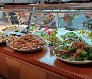 A food counter with trays of delicious seafood