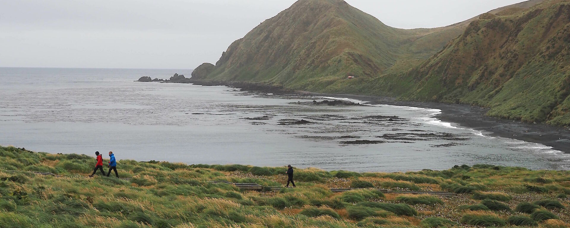 Expeditioners walking on east coast near Sandy Bay