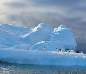 An iceberg with penguins on top