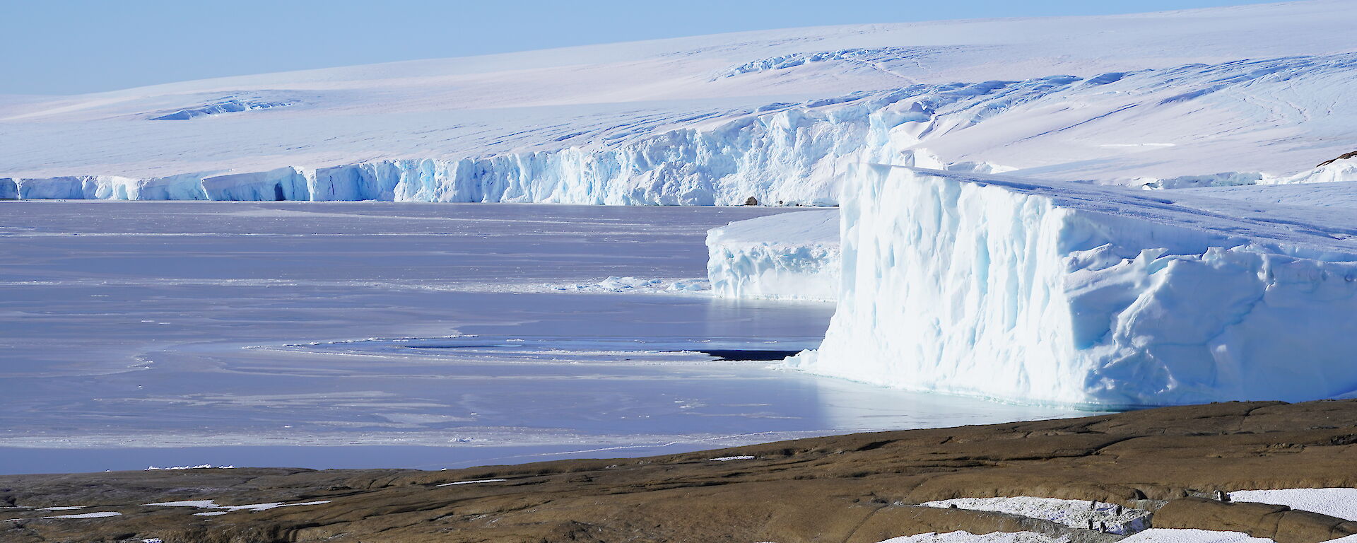 Ice covered bay with ice cliffs rising above and then leading to the ice plateau, blue skies above