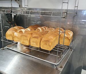 A rack of fresh bread