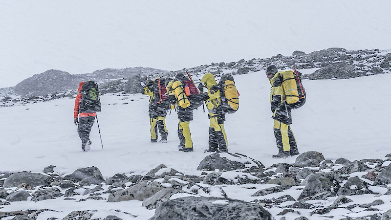 Five people in yellow survival jackets and pants walk through the wind and snow