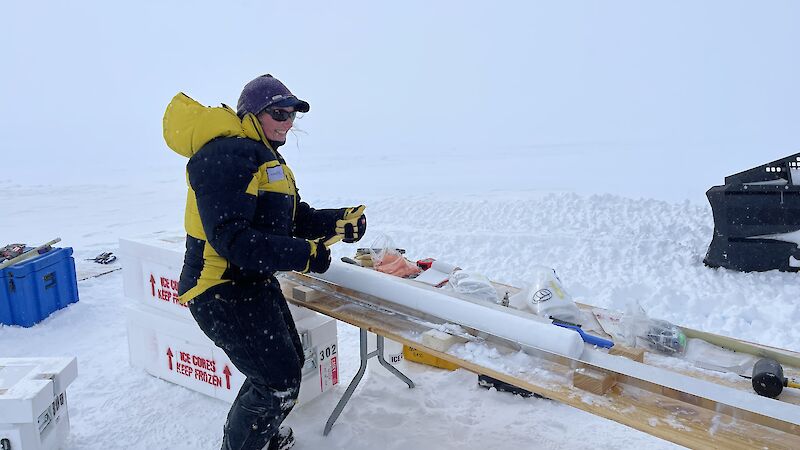 A woman stands next to a log ice core on a wooden table