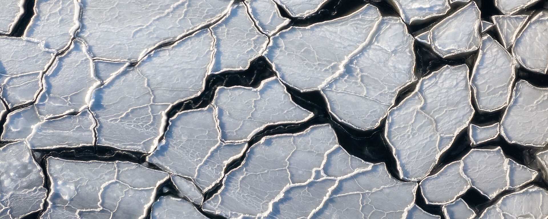 View from above of pancake ice on dark black water