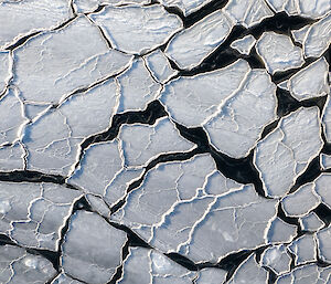 View from above of pancake ice on dark black water