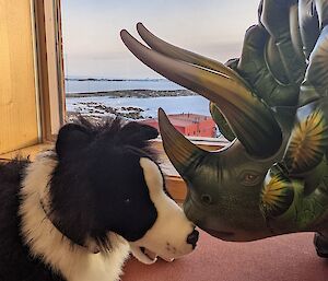 Inflatable triceratops toy and stuffed border collie toy face each other and have view of station through window behind them