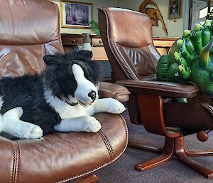 Inflatable triceratops toy and stuffed border collie toy sit beside each other on leather arm chairs