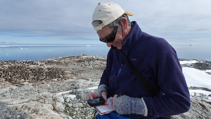 Man in cap with notebook at penguin colony