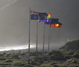 Four flag poles stand on the windy shore of Macquarie Island