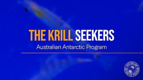 The Krill Seekers – Australian Antarctic Program