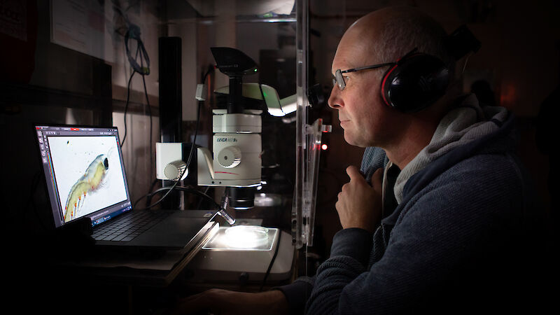 A man examines a computer screen with an image of a krill
